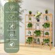 Bamboo shelf showcasing a minimalist design with 12 cubes, ideal for versatile organization in any living space.