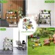 Three-tier outdoor metal garden planter holder shelf in black, perfect for displaying plants in any indoor or outdoor.
