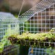 Galvanized hardware cloth roll with 1/4" mesh holes, ideal for protecting gardens and securing pet cages.