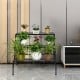 Three-tier metal decorative plant stand with elegant design, featuring space for various plants, suitable for indoor.