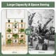 5-tier bamboo shelf with 12 potted plants, showcasing large capacity and space-saving design for versatile display.