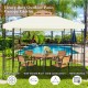 10 x 10 feet patio gazebo canopy tent with a solid steel frame, double-tier roof, and ample shelter for outdoor.