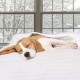 Cozy massage table warmer with 5 heat settings, featuring auto-off safety and easy wash for full-sized tables.