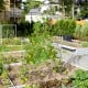 A-Frame garden trellis in green for climbing plants, featuring durable steel construction and adjustable height for.