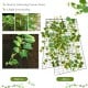 A-Frame garden trellis in green for climbing plants, showcasing before-and-after growth with adjustable height and.