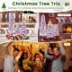 Artificial Christmas tree trio in 3 sizes with snow-flocked tips and multi-color LED lights for festive decor.
