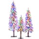 Artificial Christmas tree trio with snow-flocked tips and vibrant multi-color LED lights, perfect for festive indoor.