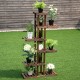 6-tier wooden plant rack stand showcasing various potted plants, ideal for indoor or outdoor use in gardens or patios.