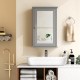 Bathroom wall cabinet with single mirror door in gray, featuring adjustable shelf and space-saving design for.
