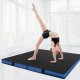 Thick black bi-fold gymnastics mat with carrying handles, ideal for exercise, yoga, and stretching in home gyms.