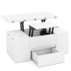 Expandable lift top coffee table in white with hidden storage, ideal for 4-8 people, featuring 4 storage stools.