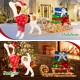 Pre-lit outdoor Xmas dog and sleigh with 170 warm lights, perfect for festive porch decoration and stable in outdoor.
