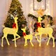 Lighted family deer set with 221 LED lights, featuring a sturdy metal frame and decorative bows for festive decor.