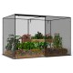 Crop cage with tear-resistant mesh and metal frame, 10 x 6.5 x 6.5 ft, protects plants from birds and animals.