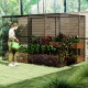 Large crop cage with mesh netting and ground nails, providing plant protection in a garden setting.
