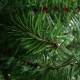 Close-up of the realistic green branches of a 2 ft artificial PVC Christmas tree, perfect for holiday decorating.