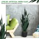 Lifelike 35.5-inch artificial snake plant in a sturdy pot, perfect for indoor and outdoor decor with vivid green leaves.