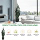 35.5-inch indoor-outdoor artificial snake plant with 20 vivid leaves in a sturdy pot, perfect for home decor.