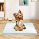 Dog and puppy pee pads 24" x 17" in blue, featuring a 5-layer design for maximum absorption and leak protection.