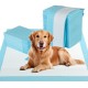 Golden retriever lying on blue dog pee pads, 36" x 36", featuring 5-layer design for maximum absorption and leak.