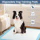 Dog training pad 36" x 36" in blue, featuring 5-layer design for maximum absorption, ideal for potty training and easy.