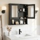 Double door wall-mounted bathroom mirror cabinet in black with adjustable shelves and elegant design for versatile.