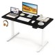 Electric standing desk in black with dual motors, height adjustable, featuring 3 memory settings and cable management.