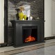 Freestanding 22.5-inch electric fireplace insert with realistic flames, 750W/1500W heat settings, perfect for home.