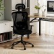 Ergonomic office chair in black with 3D headrest, adjustable lumbar support, and reclining backrest for comfort.