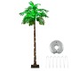 6 FT LED lighted artificial palm tree with lifelike leaves and coconuts, perfect for tropical-themed decor or outdoor.