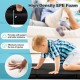 Folding gymnastics mat in black with high-density EPE foam, ideal for yoga and martial arts, featuring a detachable.