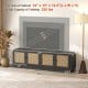 Farmhouse TV stand in black with PE rattan doors, adjustable shelves, and a wide tabletop for TVs up to 75 inches.