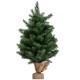 24-inch tabletop fir artificial Christmas tree with 35 warm white LED lights, perfect for festive decor in any space.