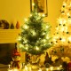 24-inch tabletop fir artificial Christmas tree with 35 warm white LED lights, perfect for festive home decoration.