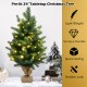 24-inch tabletop fir artificial Christmas tree with 35 LED lights, eco-friendly material, perfect for festive decor.