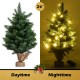 24-inch tabletop fir artificial Christmas tree with 35 warm white LED lights, perfect for festive decoration.