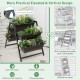 3-tier vertical raised garden bed showcasing the trapezoidal metal frame and convenient design for easy planting and.