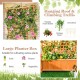 Raised garden bed with trellis and hanging roof, crafted from natural fir wood, ideal for growing climbing plants and.