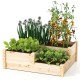 3-tier wooden raised garden bed with natural finish, featuring various plants for optimal sunlight exposure.