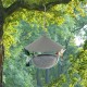 Hanging bird feeder with protective roof, showcasing a convenient design for birds to access seeds and bath easily.