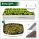 Metal galvanized raised garden bed, 6 x 3 ft, with open-ended base for plant cultivation and reinforced stability.