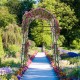Garden arch trellis with pink flowers, featuring a PE coated metal structure for climbing plants in a vibrant garden.