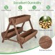 Vertical raised garden bed with 3 wooden planter boxes made of natural fir wood, ideal for growing diverse plants.