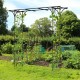 Metal garden arch for climbing plants, 81 x 20 inches, sturdy black powder-coated steel, perfect for garden entryways.