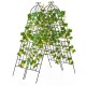 Black metal garden trellis set for climbing plants, featuring a decorative butterfly pattern and sturdy rustproof.