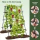 A-frame garden cucumber trellis with netting for climbing plants, featuring sturdy PE-coated metal tubes for outdoor.