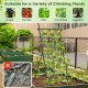 74-inch tall A-frame garden trellis in black, ideal for climbing plants like cucumbers, tomatoes, and peas.