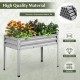 Galvanized raised garden bed with legs, 10" depth, 4 drainage holes, and weather-resistant steel for healthy plant.