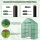 Mini portable 4 tier greenhouse with rustproof electrophoretic metal pipes for optimal plant growth and sunlight.