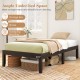 14-inch twin wood platform bed frame in espresso with ample under-bed space for storage boxes and easy floor cleaning.